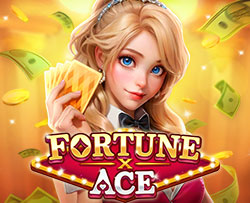 Fortune X Ace